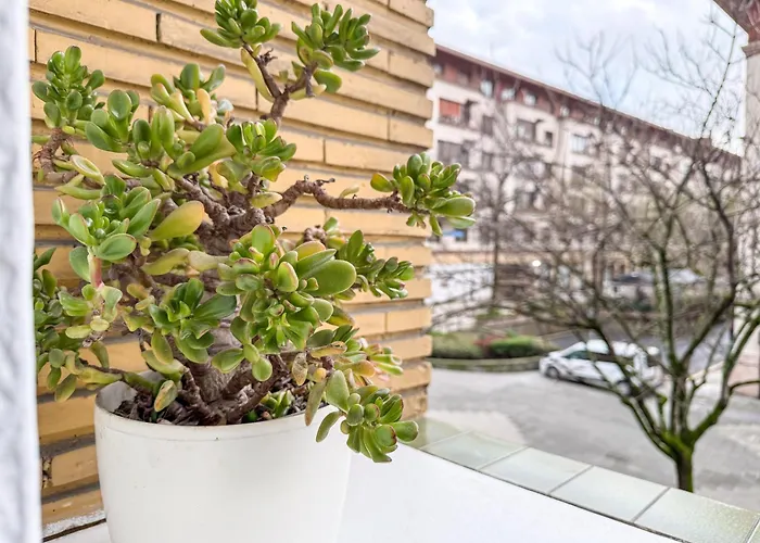 Апартаменты Vt - Hogar Familiar En Deusto *